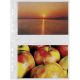 Buste a foratura universale porta foto 20x13 cm confezione da 10 pezzi finitura liscia favorit