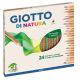 Pastelli di natura giotto 24 pz