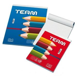 Block notes punto metallico a4 da 60 fogli  rigatura 5 mm team