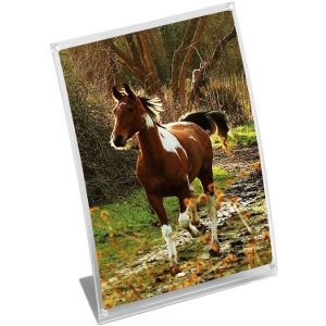 Portadepliant magnetico a4 in acrilico